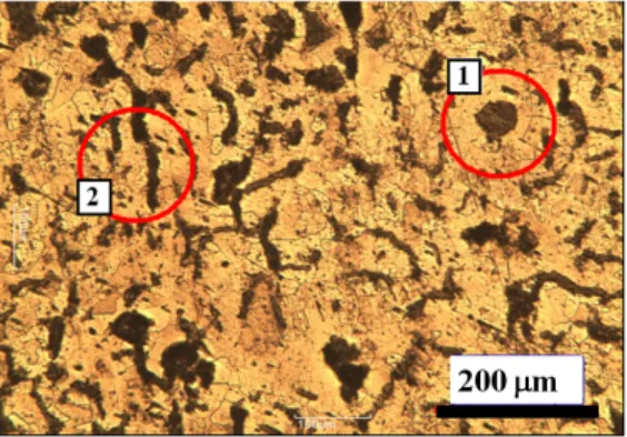 Fig. 9 Microstructure of CGI 340 Fig. 10은 1,273 K에서 48 h 열처리한 시험편이 다. (a)는 과도한 열처리에 의하여 열화되어 중심 부와 외곽부가 확실하게 구분되었다