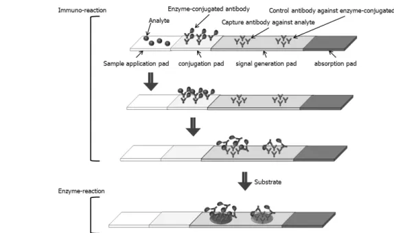 Figure 2. Sandwich ELISA 기술과 면역-크로마토그래피를 기반으로 한 발색면역센서의 작동원리. Figure 3.   동시-다중 측정용 면역센서 시스템