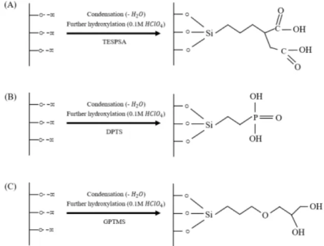 Fig. 1. Schematic illustration of functionalization onto  silica surface: (A) carboxylation, (B) phosphonation, and 