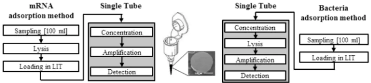 Figure 2.   단일챔버를 이용한 박테리아 측정 개념도 겪고 있다[33]. 5.2. 표면 플라즈몬(Surface Plasmon) 기반 기술     전기적 신호는 뛰어난 민감도를 가지는 장점에 도 불구하고 시료의 상태에 따라 재현성 문제가  제기되고 있다