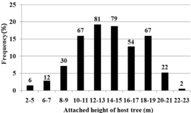 Figure 3. The frequency of  L. tanakae  attached height of host trees. Indicated bars were investigated out of 420 trees.