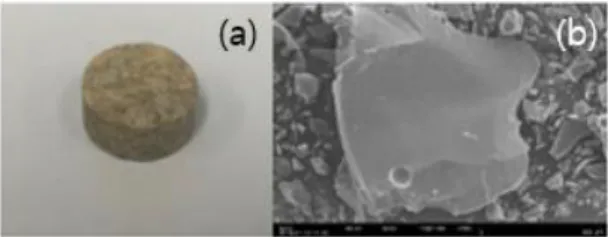 Fig. 2 shows the photos of the sintered body and  SEM photo of fractured surface. Fig