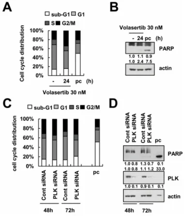 Figure 1. The effect of volasertib on cell cycle distribution and apoptosis in Caki cells