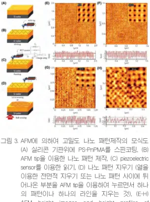 그림 4. 다양한 미세 구조를 가지는 ABC 삼중블록 공중합체.
