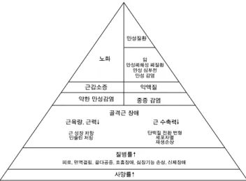 Fig. 1. The clinical characteristics of sarcopenia and cachexia.