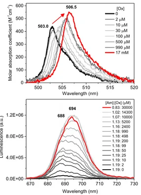 Fig. 1. Absorption (upper) and luminescence (bottom)  spectra of Am(III) in the presence of various Ox  concentrations