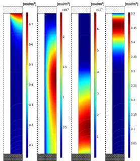 Fig. 2. Concentration distribution of H 2 , O 2 , H +