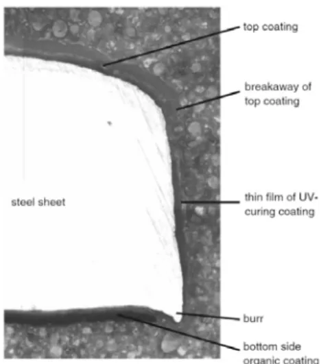Figure 12. Polished cut image of cut edge of coil coated  sheet steel covered by UV-curing lacquer[25].