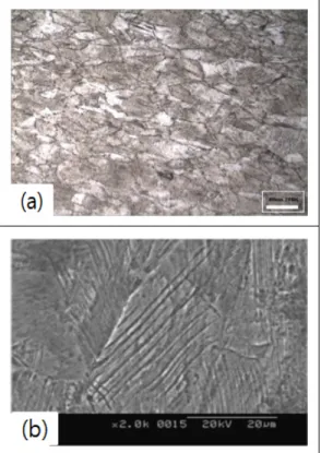 Fig. 1 Micrographs of 70% cold rolled high  manganese austenitic stainless steel  a) Optical(×200), b) Scanning electron 