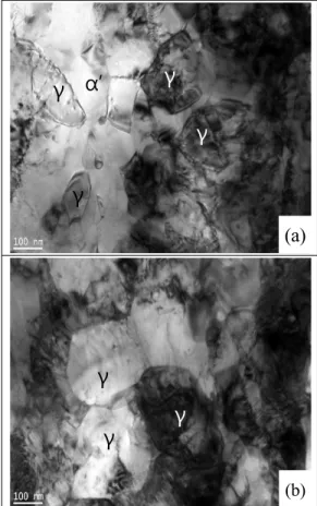 Fig. 3 TEM micrographs showing the reversed  austenite obtained by annealing treatment at 600℃ 