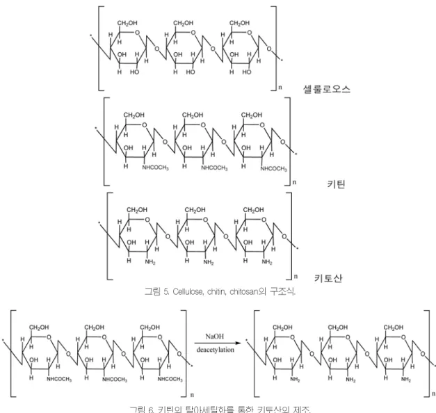 그림 5. Cellulose, chitin, chitosan의 구조식.