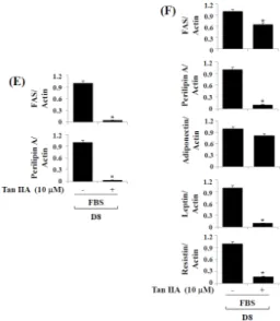 Figure 4. Effects of tanshinone IIA on protein and/or mRNA expression levels of FAS, perilipin A,  leptin, and resistin during 3T3-L1 preadipocyte differentiation
