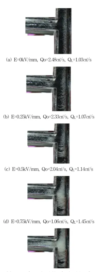 Fig. 4 Experimental apparatus 