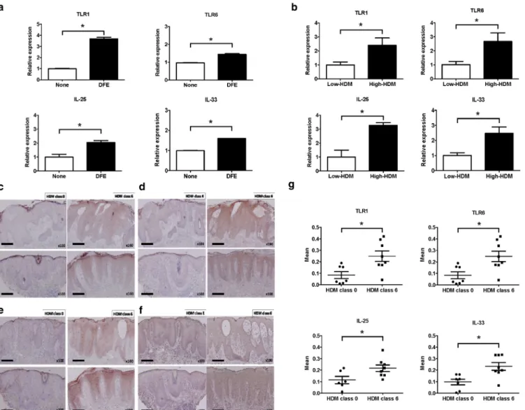 Figure 5. Expressions of TLR1, TLR6, IL-25, and IL-33 were increased in human AD skin with high HDM sensitization