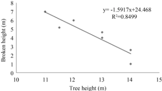 Figure 4. Lodging direction of wind damaged trees and wind direction and velocity from 04:00 to 12:00 on September 2, 2010.