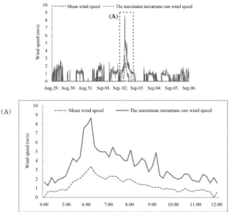 Figure 5. Wind speed inside the forest from 29, August to 6, September (Up) and wind speed inside the forest from 04:00