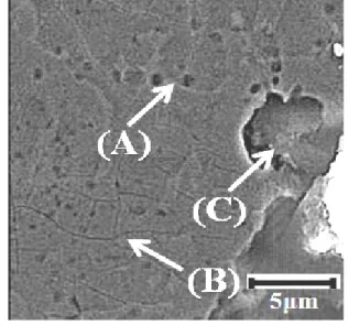 Table 2 Grain intercept length and pitting potential  of the specimens annealed at 1000℃