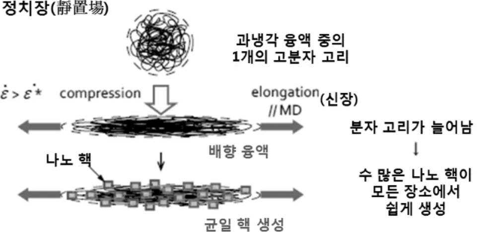 Figure 1. 나노 배향 결정체(Nano Oriented Crystals)의 생성 메카니즘.