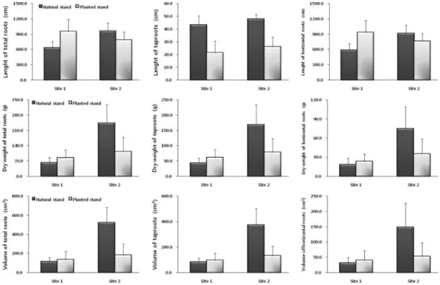 Figure 3. Comparison of below-ground biomass of natural and planted stands in two studied sites.