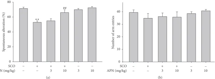 Figure 1: Memory enhancing effect of APN in Y-maze test. One hour before the test, mice were treated with vehicle or APN (3 or 10 mg/kg, i.p.) and, 30 min later, mice were injected with vehicle or SCO (1 mg/kg, i.p.)