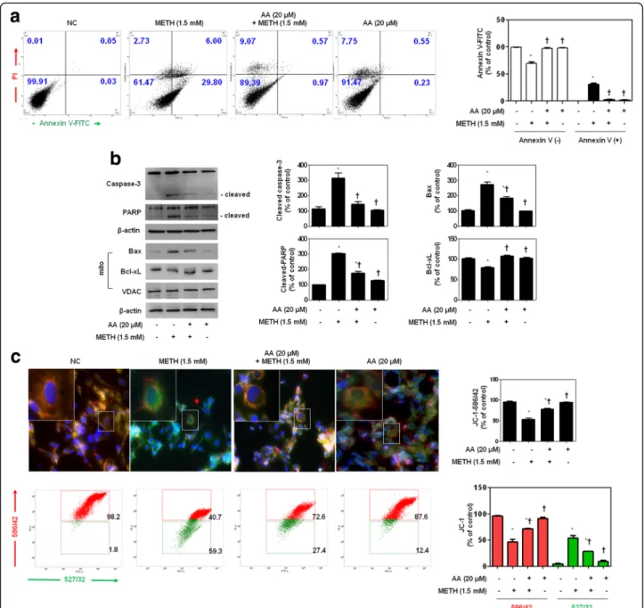 Fig. 6 AA protects METH-induced apoptosis in SH-SY5Y cells. a Annexin V/PI staining by flow cytometry