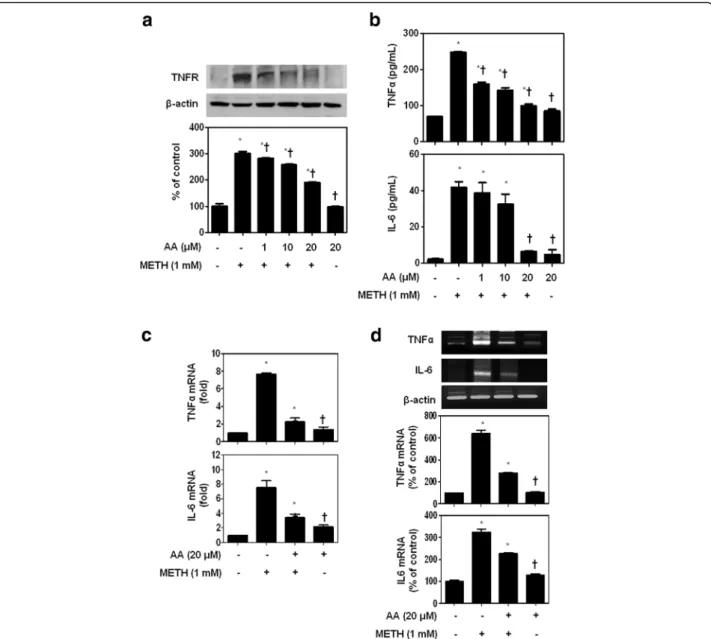 Fig. 1 AA inhibits METH-induced TNF-alpha and IL-6 production and mRNA expression levels