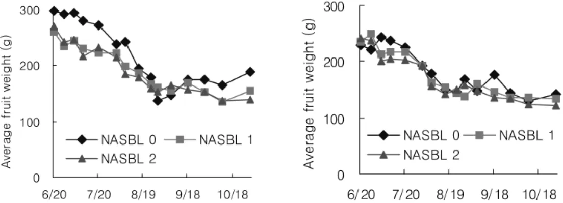 Fig.  6.  Changes  of  average  fruit  weight  according  to  the  treatment  of  leaf  pruning