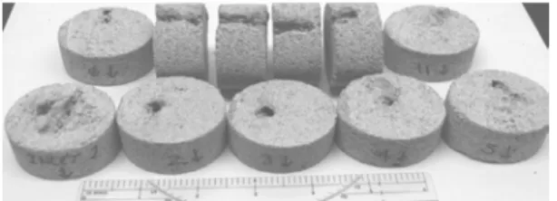 Figure 6. CA를 이용하여 CO 2  전환한 후 Ca와 반 응시켜 생성한 석회석. 일하게 소의 혈청에서 추출한 BCA와 인체에 서 추출한 HCA를 이용한 연구개발을 수행하 고 있다