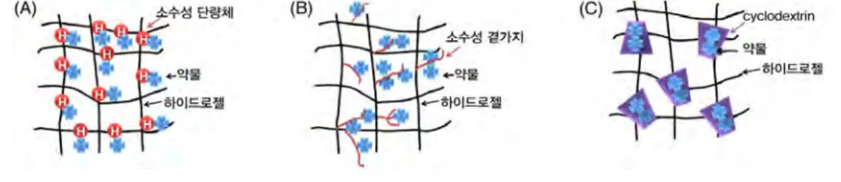 그림 6. 하이드로젤을 통한 소수성 약물전달 방법 (A)  소수성 단량체의 랜덤 공중합,  (B)  소수성 곁가지의 grafting,  (C) cyclodextrin의 도입.