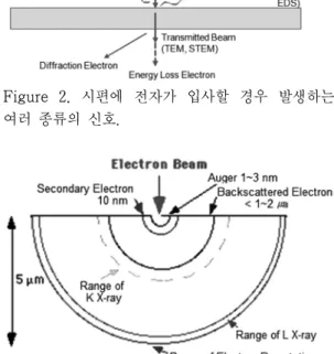 Figure 3. 니켈 시편에 입사된 전자빔의 상호작용.