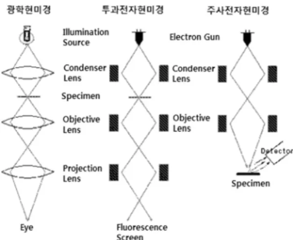 Figure 4. 광학현미경과 전자현미경의 모식도. 본의  빛을  흡수함으로써  상이  형성되는  반면,  전자현미경에서는 전자가 표본의 원자에 의해  산란됨으로써  상이  형성된다