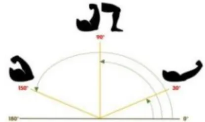 Fig.  1.  Range  of  exercise  posture  by  angle  of  upper  and  lower  body