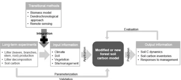 Figure 2. A systematic process of applying a modified or new model in Korea.