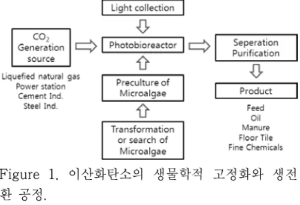 Figure  1.  이산화탄소의  생물학적  고정화와  생전 환 공정.   앞에  기술한  바와  같이  미세조류를  이용하 는 CO 2  고정화 기술은 많은 장점을 갖고 있어  활발하게 연구되고 있다