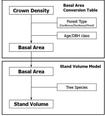 Figure 1. Study scheme.