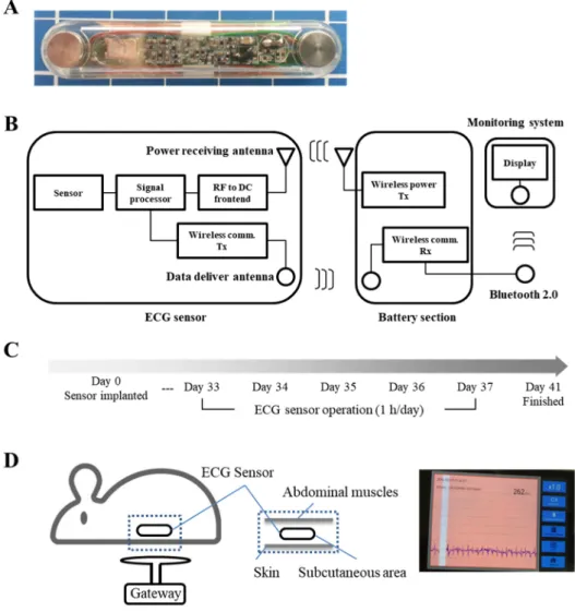 Figure 1. (A) An ECG sensor with the electrode of the anode; (B) Schematic view of the system