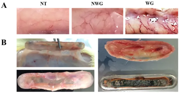 Figure 2. Cont.