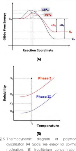 그림 5. Thermodynamic  diagram  of  polymorphic crystallization (A) Gibb’ s free energy for polymorphic nucleation,  (B)  Equilibrium  concentration  of polymorphs.