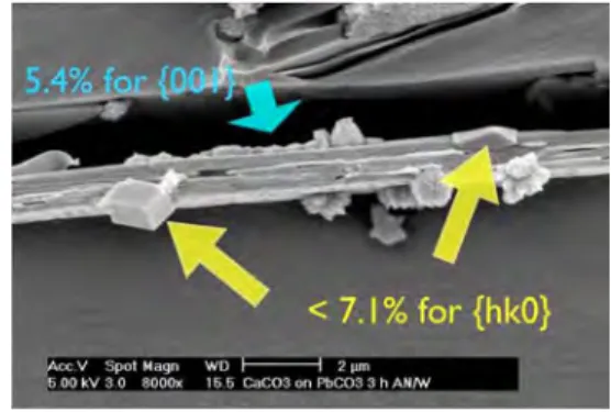 그림 5. Calcite grown on PbCO 3 ; aragonite on {001} faces and  calcite  on  {hk0}  faces