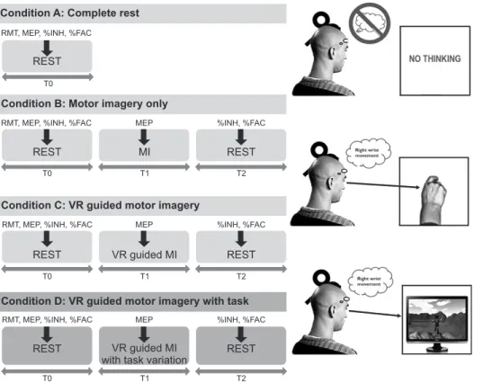 Fig. 2. Transcranial magnetic sti- sti-mulation (TMS) was applied  un-der four conditions and at various  time points