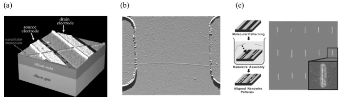 Figure 2. 탄소 나노튜브 트랜지스터. (a) 미리 패턴된 전극에 나노튜브를 뿌려 제작한 탄소 나노튜브 트 랜지스터[1] (b) patterned growth 를 이용하여 기판에 직접 나노튜브를 성장시킨 후 전극을 붙인 소자의  AFM 사진 (c) 자기조립에 의해 원하는 위치에 고정화된 탄소 나노튜브[3].