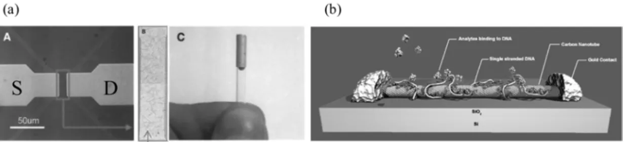 Figure 5. 탄소 나노튜브 가스센서 (a) Naval research lab에서 개발한 나노튜브 기반의 신경가스 검출센서  (b) DNA를 고정화한 탄소 나노튜브 가스센서의 모식도
