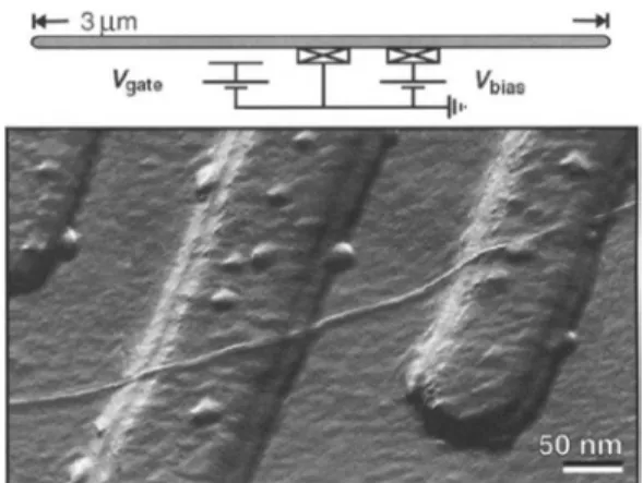 Figure 3. Schematic cross section of IBM's CNTFET  (carbon  nanotube  field  effect  transistor)  (출처: 
