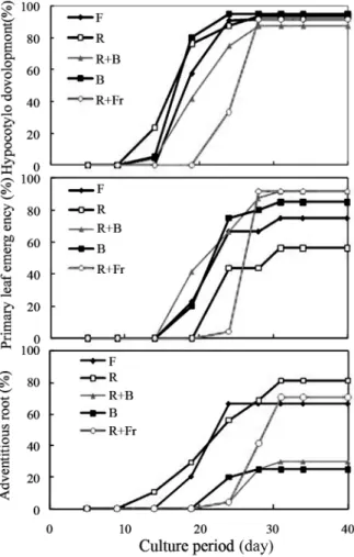Figure 4. Developmental characteristics of zygotic embryos under different spectral radiations during entire culture period in chestnut