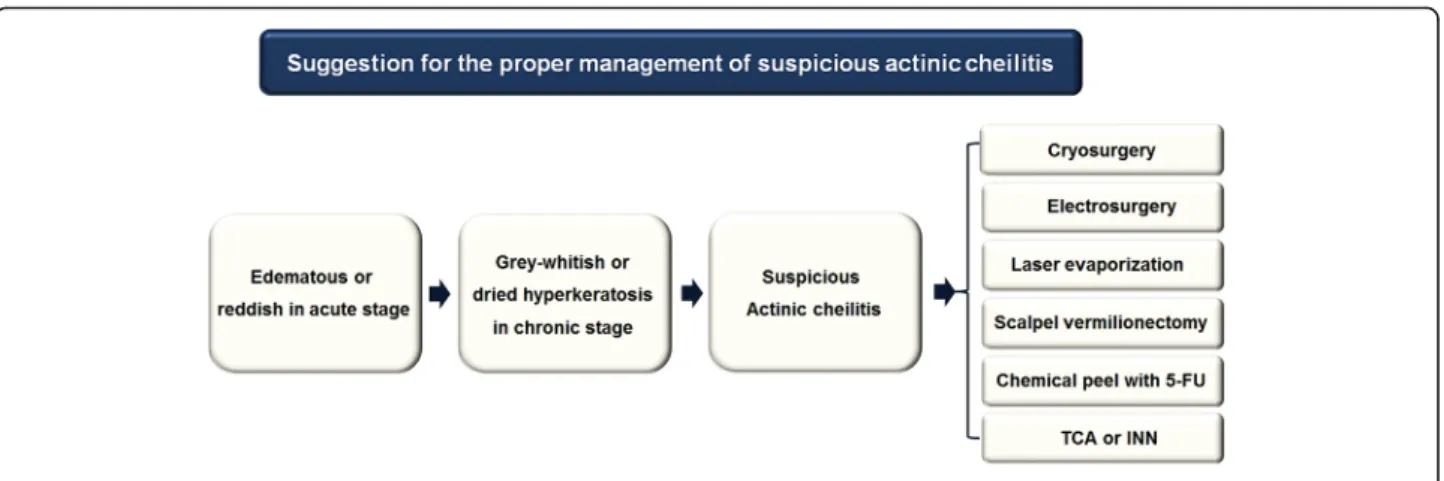 Fig. 4 Schematic flowchart for the suggestion of the suspicious actinic cheilitis
