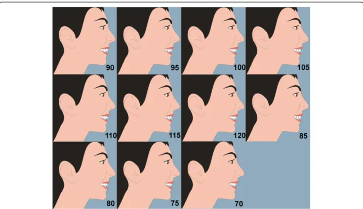 Fig. 3 The maxillary incisor labial face tangent was altered in 5° increments from 70 to 120°, creating a range of images
