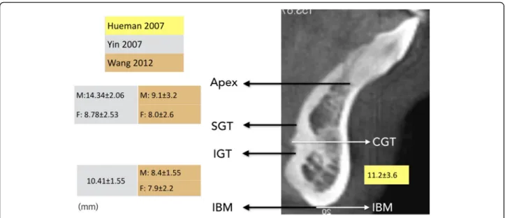 Table 1 Comparison of the measurements for the genial tubercle position evaluated by radiographic measures