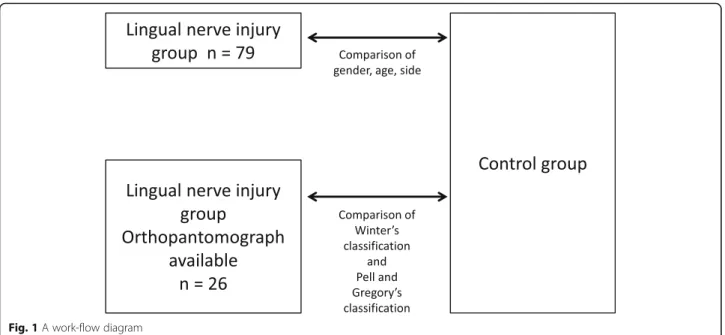 Fig. 1 A work-flow diagram