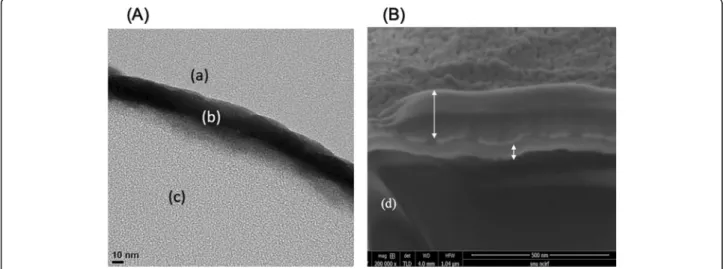 Fig. 2 Transmission and scanning electron microscopy images of a tantalum implanted ePTFE implant material