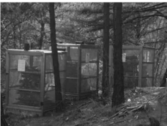 Figure 1. Emergence cages.